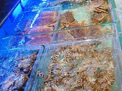 -阿伟海鲜楼·福建菜(延寿店)
