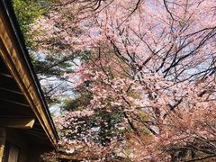 -轻井泽王子购物广场