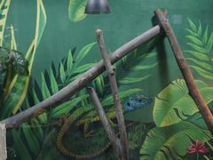 -上海昆虫博物馆