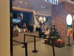 门面-鹿角巷The Alley(龙湖天街店)