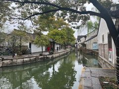 -鲁镇