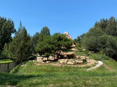 -北京野生动物园