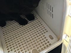 -北京赛佳动物医院