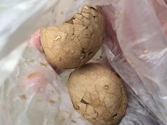 -金盆阿嬷香菇茶叶蛋(玄光店)