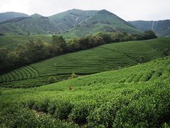 -帐篷客·溪龙茶谷度假酒店