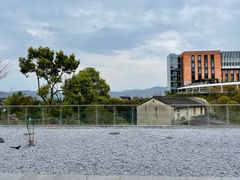 -东钱湖旅游度假区