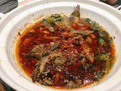 -情妹耙泥鳅·江湖川菜(科华店)