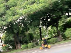 -史努比缤纷世界