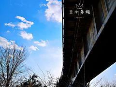 -永定河休闲森林公园