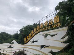 -西双版纳原始森林公园