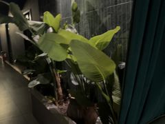 -涟LIAN·泰式按摩·MASSAGE·SPA(华强北店)