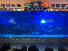 -成都浩海立方海洋公园