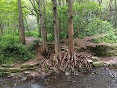 -中国茶叶博物馆(双峰馆区)