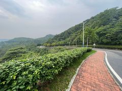 -火炉山森林公园