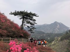 -木兰云雾山