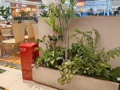 -阳阳中国饭(龙湖大兴天街)