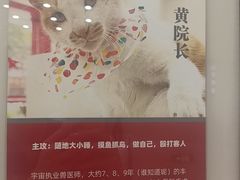 -御宝贝24h宠物医院·转诊中心·CT核磁血透中心(厦门总院)