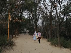 -灵岩山风景区