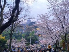 -鸡鸣寺