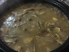 野生菌土鸡火锅-蘑统田下·野生菌火锅