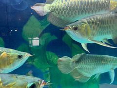 -弘安丽水温泉酒店