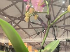 -中山市绿华园食府