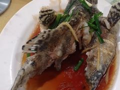 -四姑娘川味海鲜(八爪鱼店)