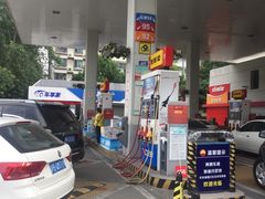 -中国石油加油站(严桥路站)