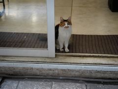-玫瑰咖啡(中山六路店)