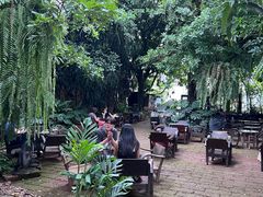 -Fern Forest Cafe