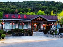 -呼吸森林·生态农庄农家乐私房菜