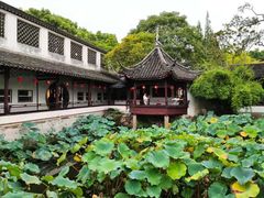 -上海醉白池公园