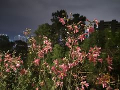 -牛岗山公园