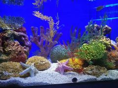 -上海海洋水族馆