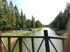 -黄海国家森林公园