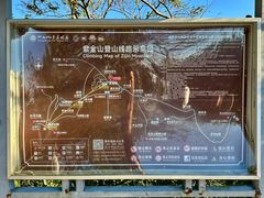 -紫金山山顶公园