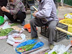 -东河市场