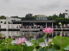 -石家庄市植物园
