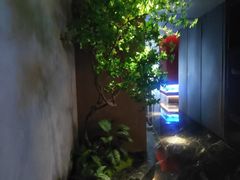 -唐宫足道·SPA·住宿24H会所(木渎店)