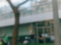 -北京大学肿瘤医院