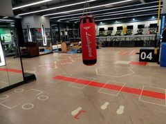 -金吉鸟健身游泳