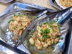-爱蚝屋