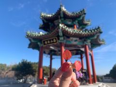 -北京西山国家森林公园