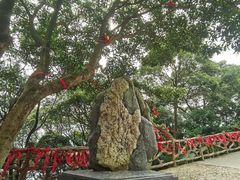 -广州市帽峰山景区