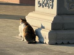 -狼山风景名胜区