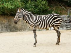 -泉州海丝野生动物世界
