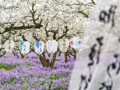 -江苏三台山国家森林公园