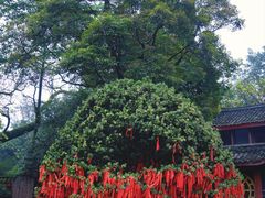 -峨眉山报国寺