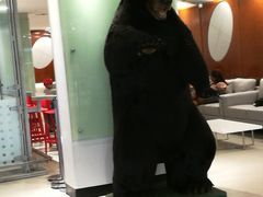 -加拿大国家电视塔