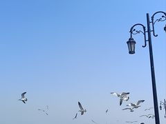 -东港音乐喷泉广场